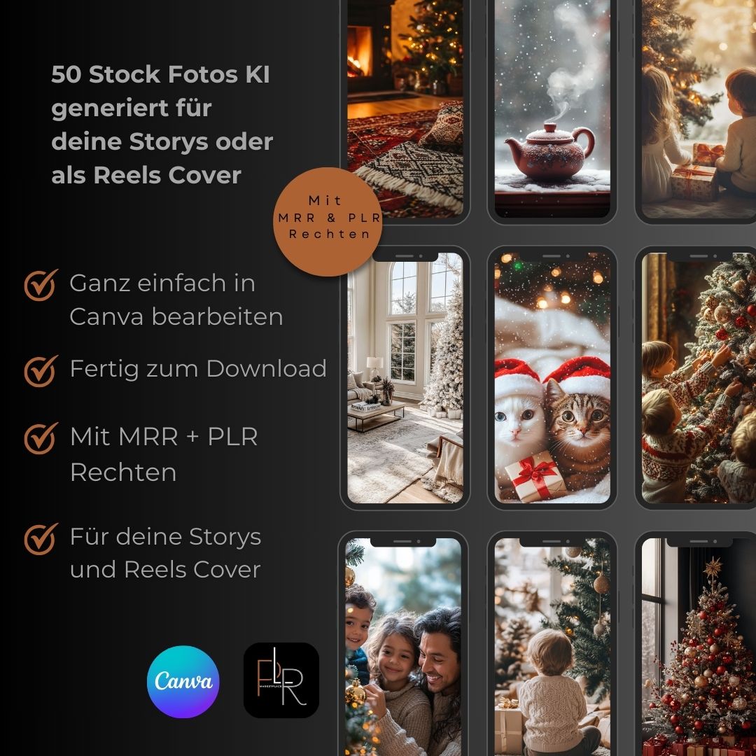 PLR | 50 Stock Fotos Weihnachts Edition für deine Storys und Reels